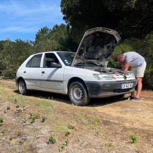 296879880_1252885345450068_5029061847774848127_n